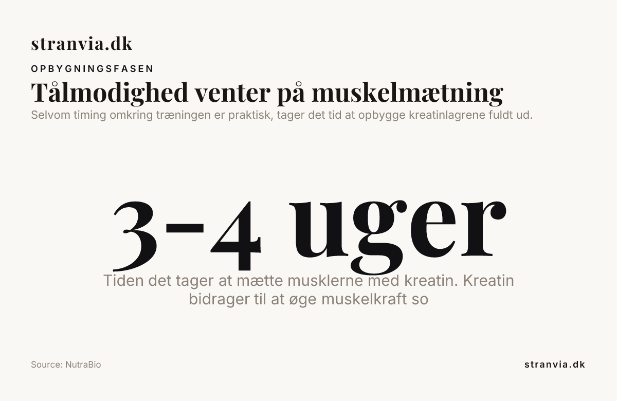 Tålmodighed venter på muskelmætning — data from NutraBio