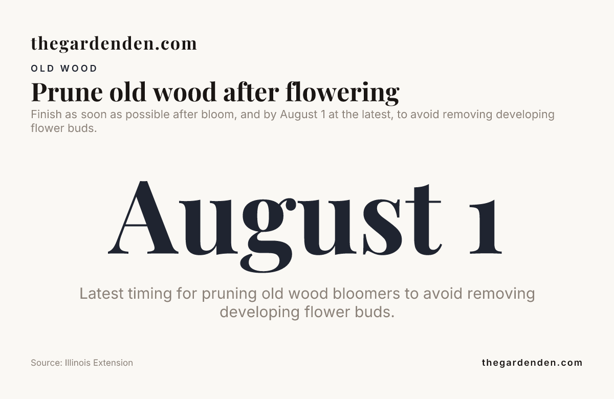 Data card: Prune old wood after flowering