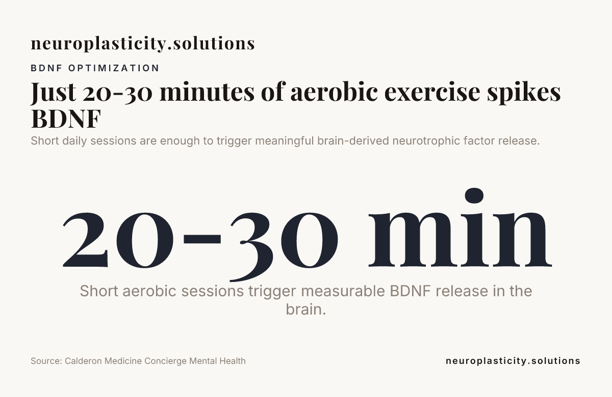 Just 20-30 minutes of aerobic exercise spikes BDNF — data from Calderon Medicine Concierge Mental Health