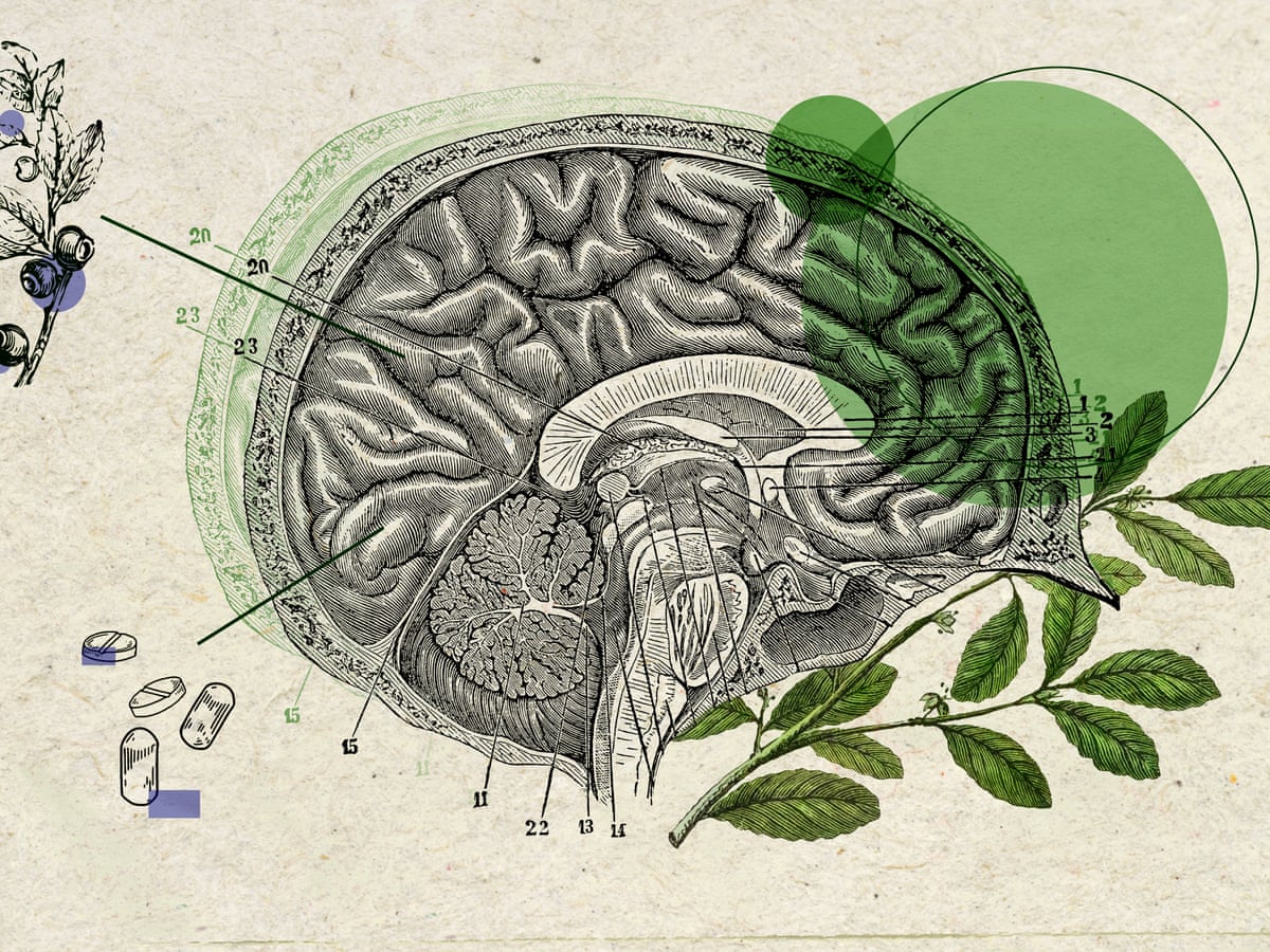 Various nootropic supplements