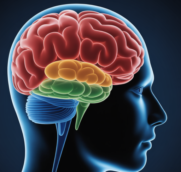 2026 Cognitive Assessment Comparison Chart
