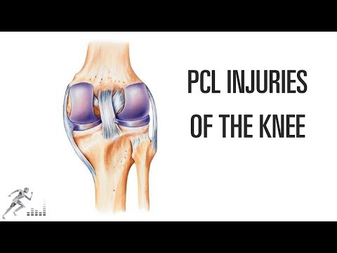 Video thumbnail related to knee injury education