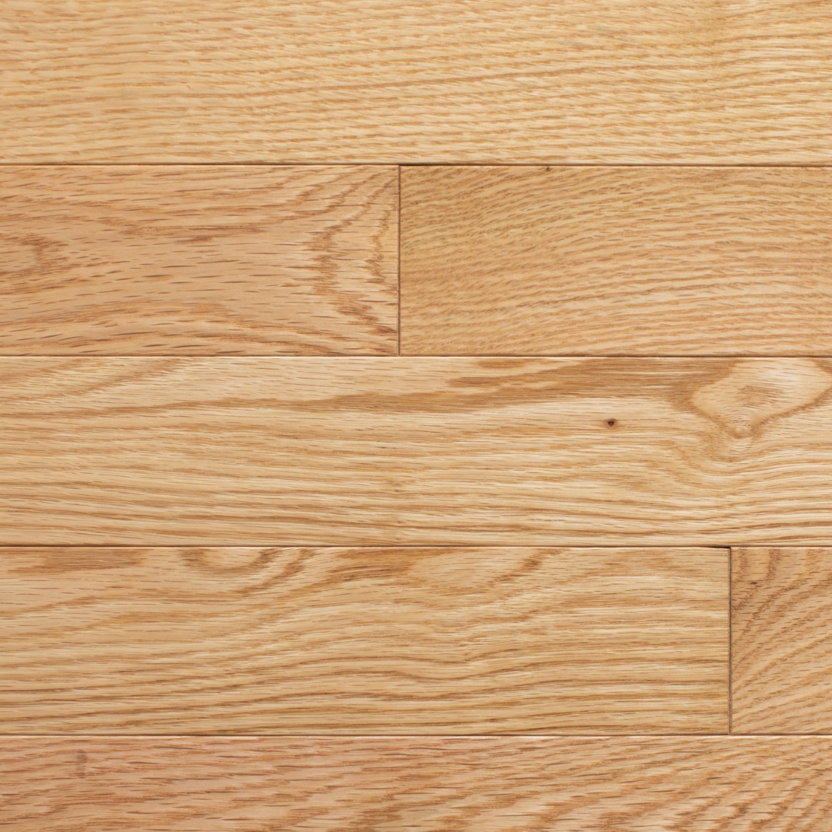 Natural red oak planks with prominent grain and knots