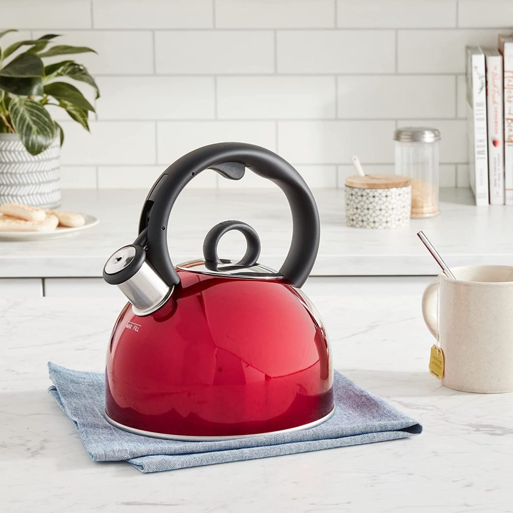 Stainless Steel Tea Kettle for the Stovetop