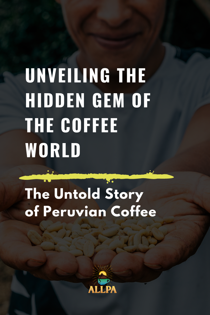 Peruvian coffee farm in the northern highlands
