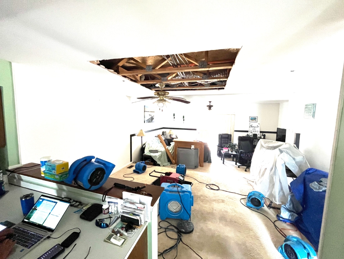 Mold Growth In A Home After Water Damage
