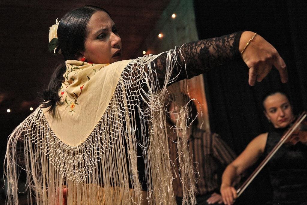 Flamenco traditional music in Seville exclusive show