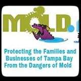 Guide image for lab analyzed mold sampling reports benefits
