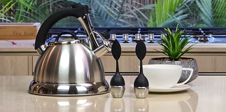 Stainless Steel Tea Kettles