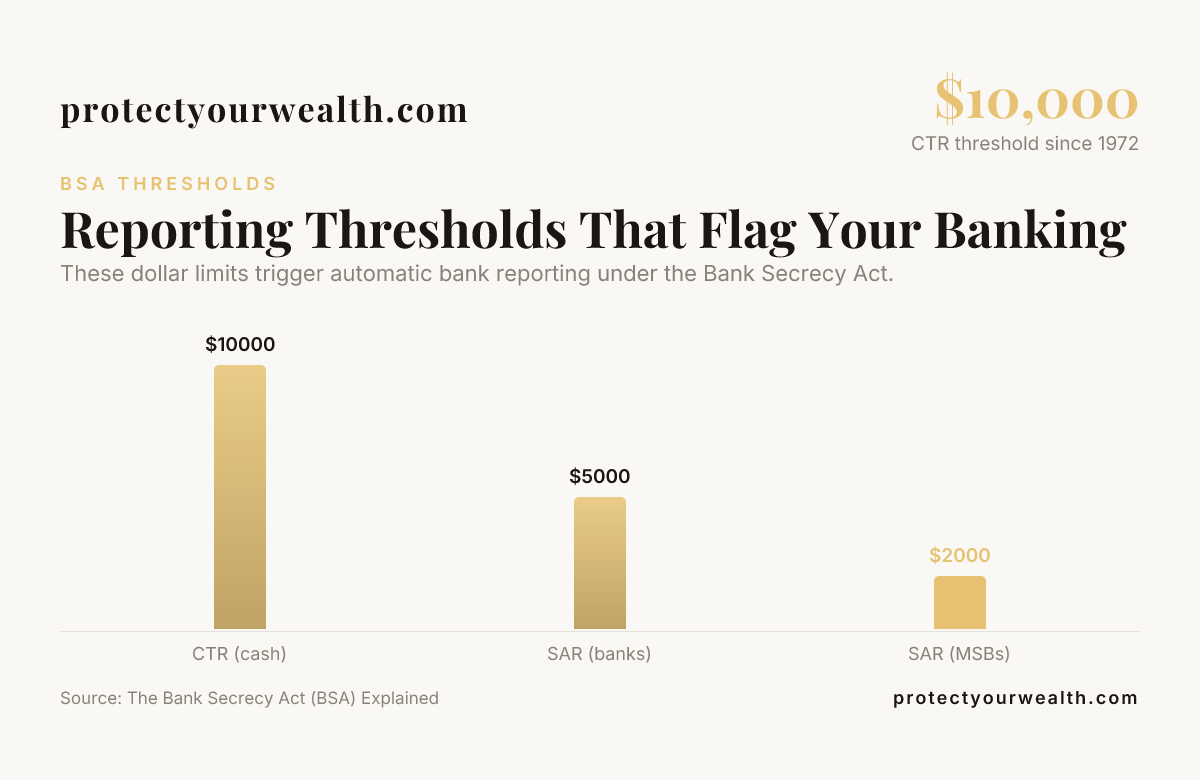 Reporting Thresholds That Flag Your Banking — data from The Bank Secrecy Act (BSA) Explained