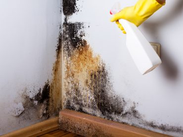Professional Mold And Sewage Cleanup