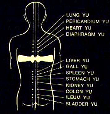Ma Qigong Training