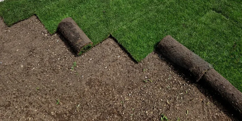 Fresh sod being installed in a Piedmont backyard