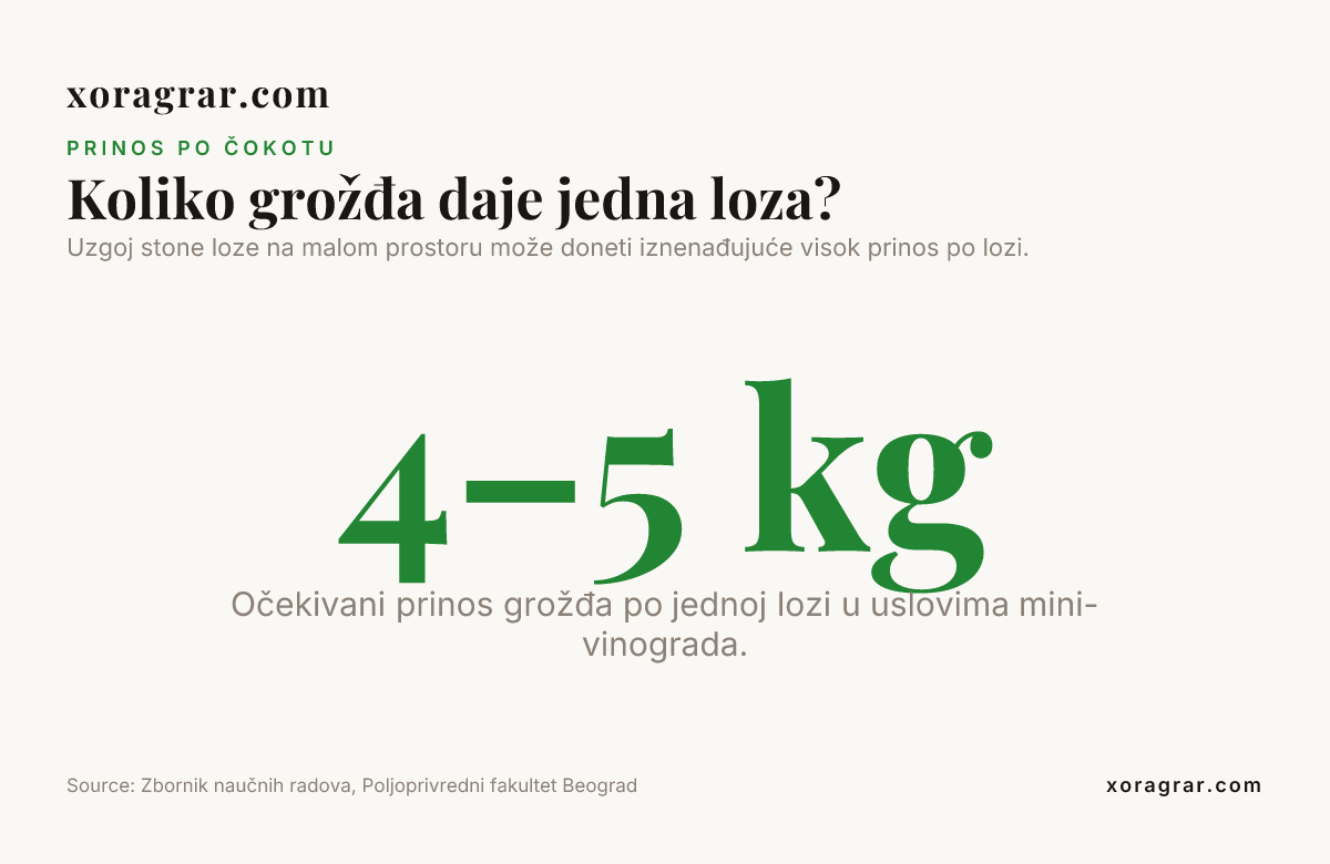Koliko grožđa daje jedna loza? — data from Zbornik naučnih radova, Poljoprivredni fakultet Beograd