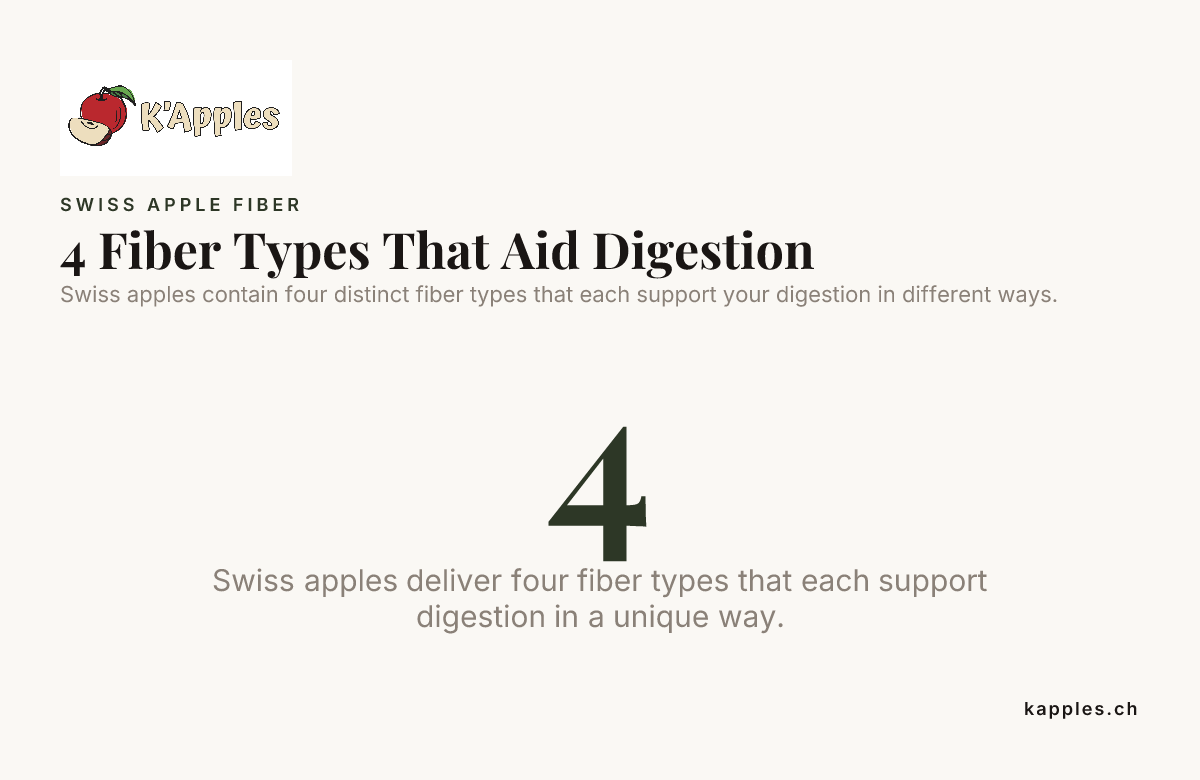 4 types de fibres qui favorisent la digestion
