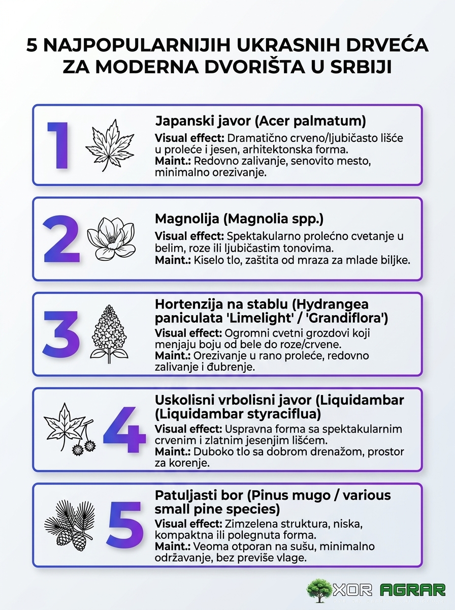 Infografika: 5 najpopularnijih ukrasnih drveća za moderna dvorišta u Srbiji (ukrasno drveće, Srbija)