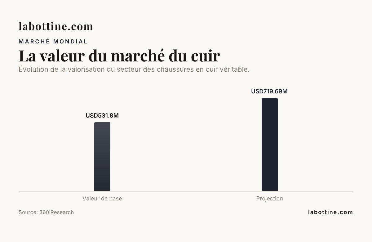 La valeur du marché du cuir — data from 360iResearch