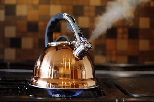 Copper Tea Kettle