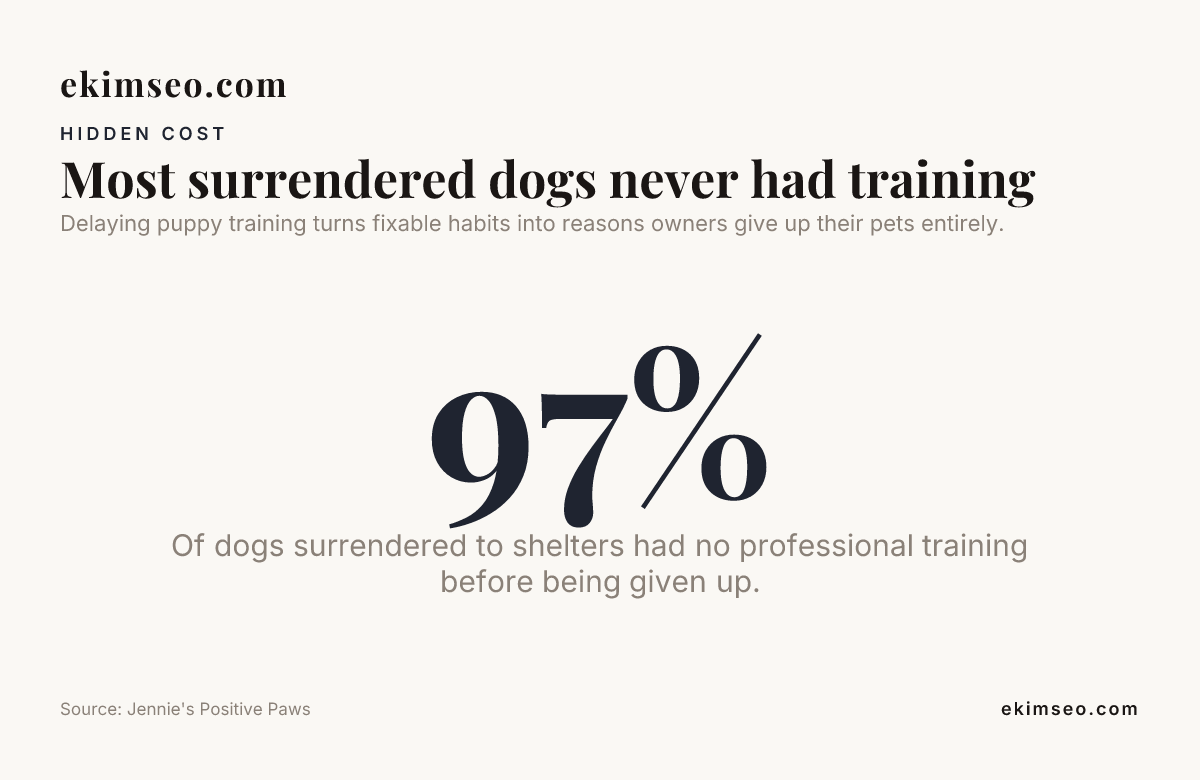 Most surrendered dogs never had training — data from Jennie's Positive Paws