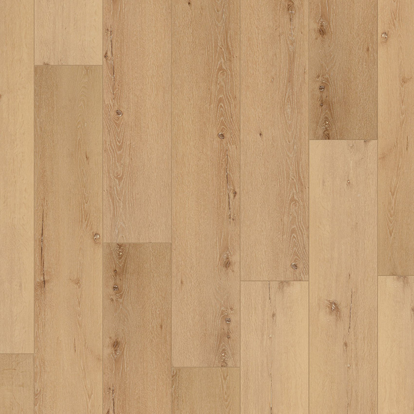 Coretec Pro Plus XL Enhanced Cairo Oak vinyl plank flooring in warm neutral tone