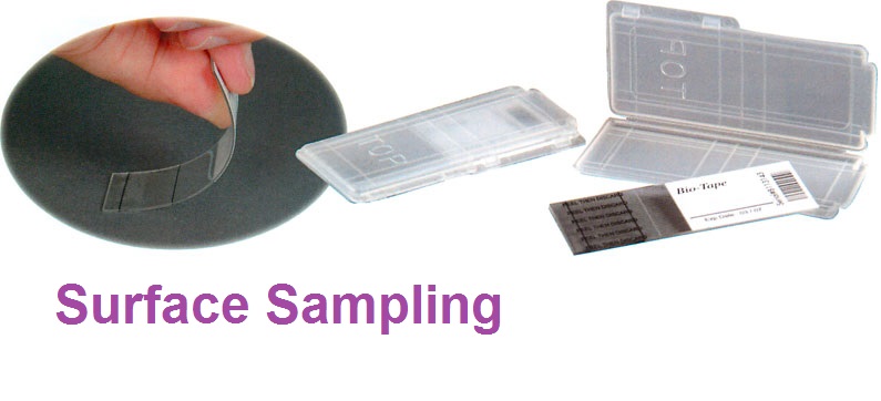 Mold Testing Florida - Air Sampling and Lab Analysis