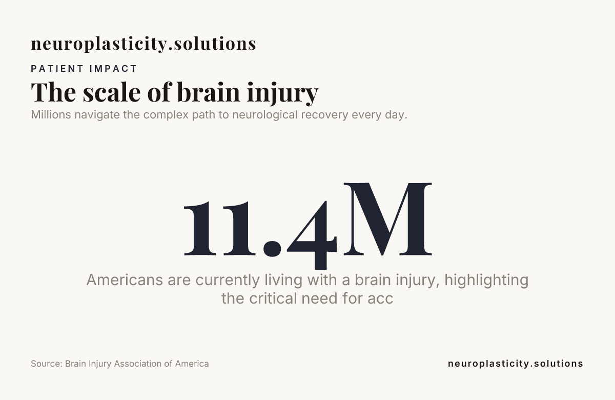 The scale of brain injury — data from Brain Injury Association of America