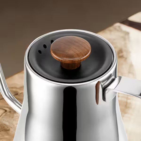 Dmofwhi 1000W Gooseneck Stainless Steel Electric Kettle