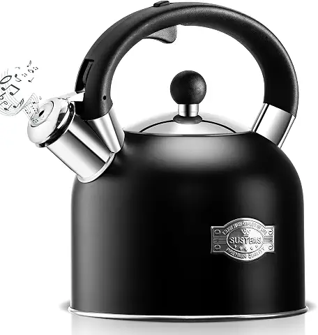 Stainless Steel Tea Kettle for Stovetop Use