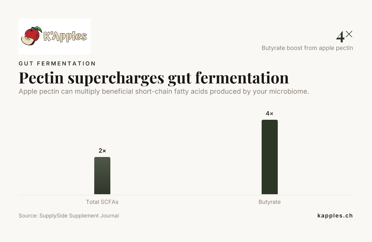 Pectin supercharges gut fermentation — data from SupplySide Supplement Journal