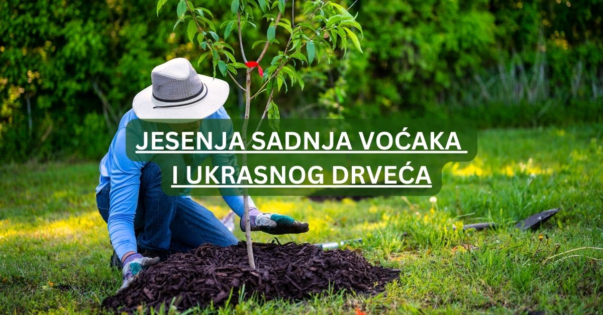 jesenja sadnja voća