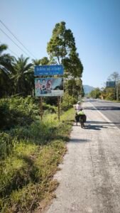 Cycling Satun Thailand while working online after 50