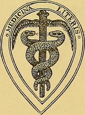 What does the symbol of a snake mean