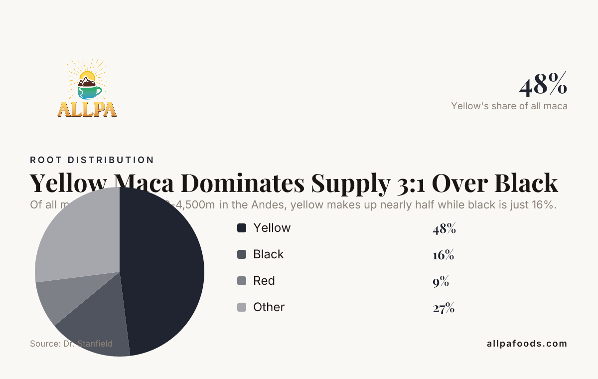 Yellow Maca Dominates Supply 3:1 Over Black — data from Dr. Stanfield
