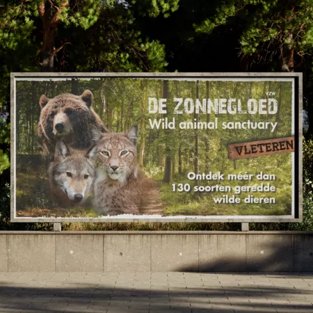 Belettering en sign als aanvulling op webdesign bij Comsa