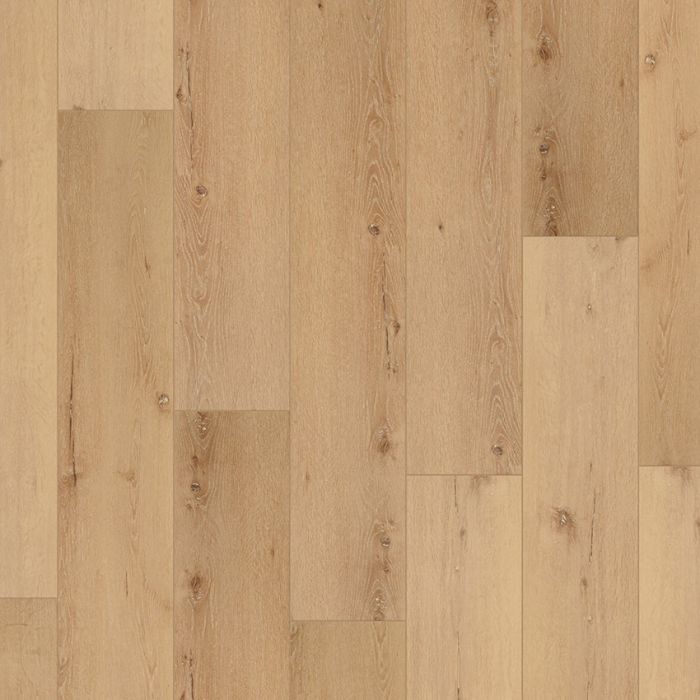 Coretec Pro Plus XL Enhanced Cairo Oak 20 mil wear layer thick lvp flooring
